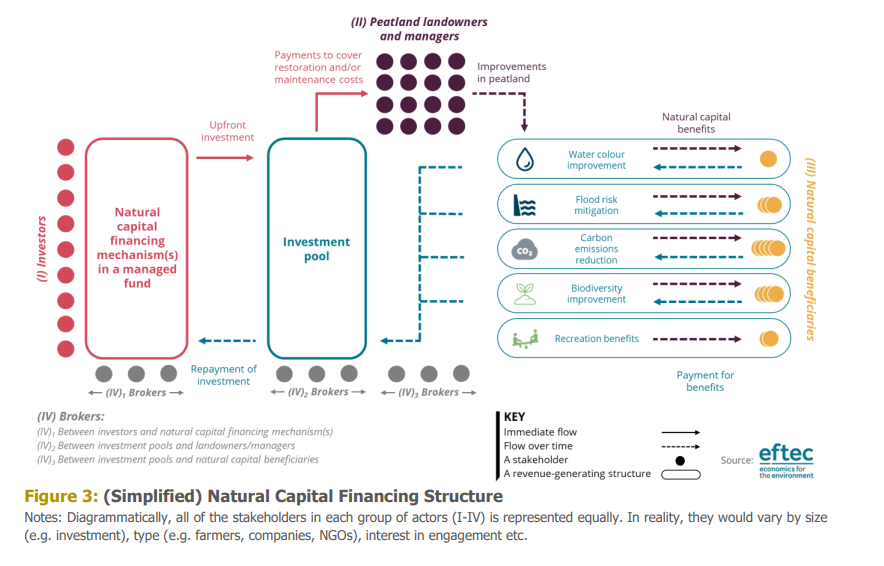 Simplified Natural Capital financing structure, Eftec. 