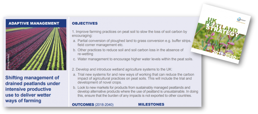 Productive sustainable use of peatlands