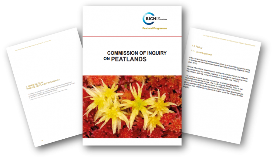 Commission of Inquiry report