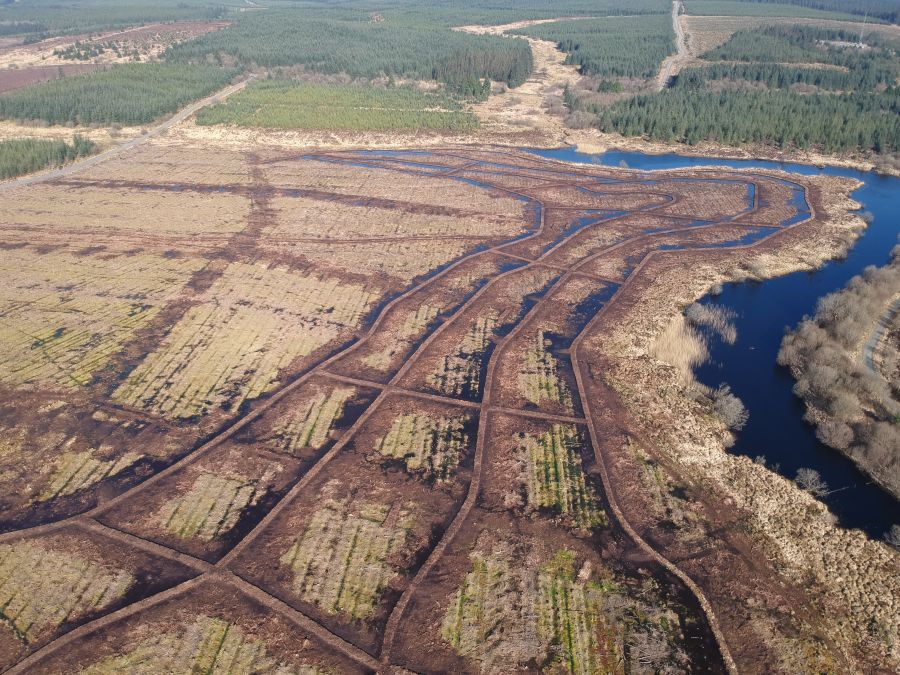 Aerial view of cell bunding next to a meandering river with plantation forestry in the background