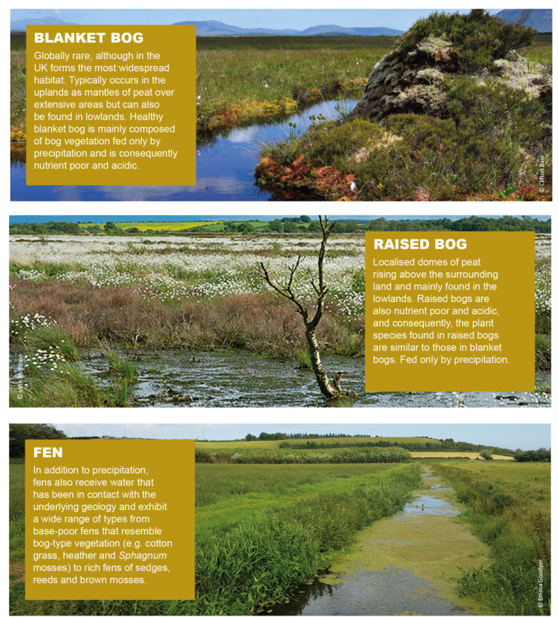 Fen Peatlands  IUCN UK Peatland Programme