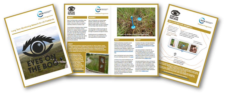 Eyes on the Bog leaflet