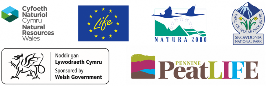 Conference Sponsorship Logos