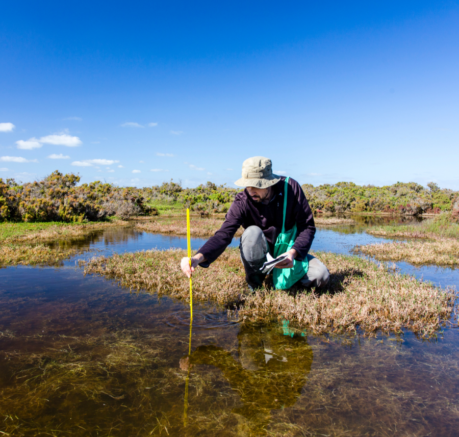 Person kneeling beside bog pool taking measurement with a ruler