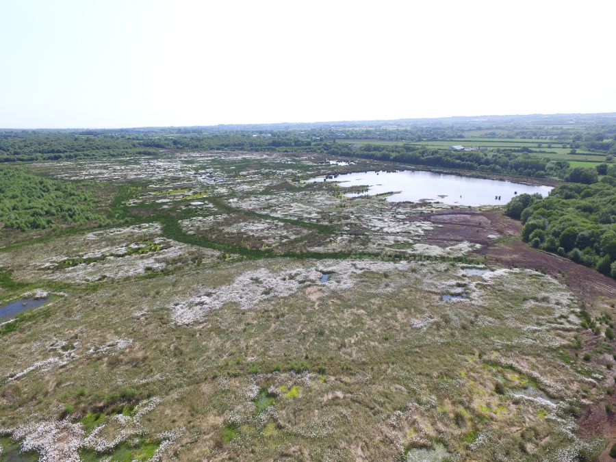 Aerial view of a raised bog covered in cotton grass with a large area of open water in the background