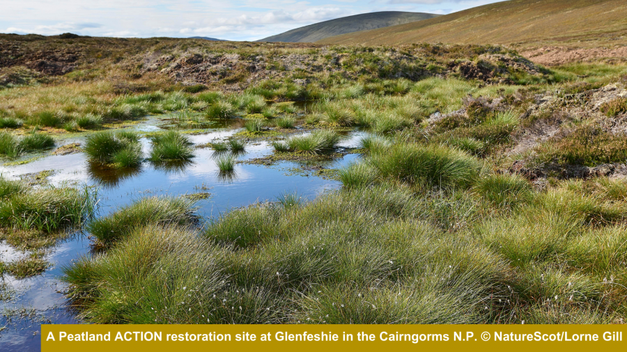 Image caption: A Peatland ACTION restoration site at Glenfeshie in the Cairngorms National Park. Photo credit: ©Lorne Gill/NatureScot