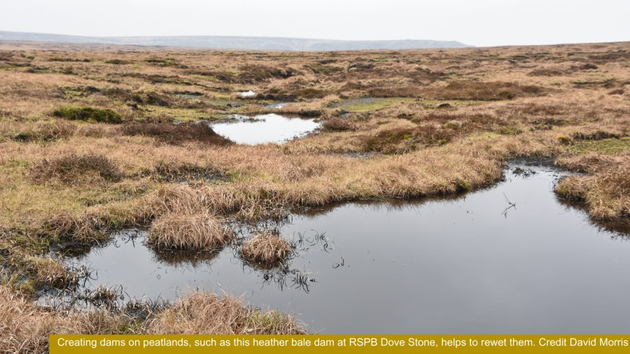  Creating dams on peatlands, such as this heather bale dam at RSPB Dove Stone, helps to rewet them. Credit David Morris