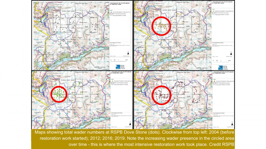 Maps from RSPB Dovestone showing increasing wader populations   