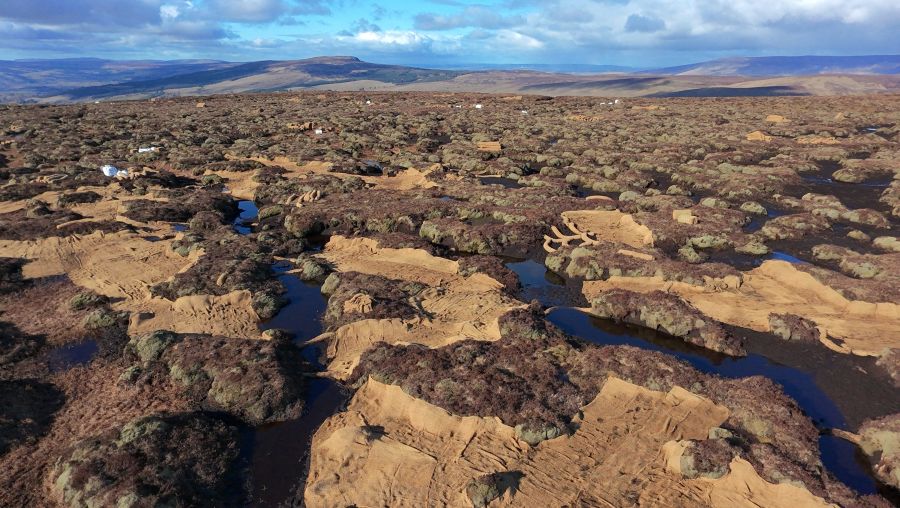 Large area of damaged peatland showing bare peat covered with coir matting at Bencroy