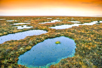 Bog pools at Blar na Faioleag Caithness