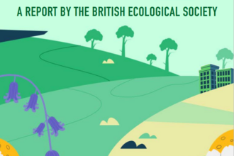 Nature-based solutions for climate change in the UK cover