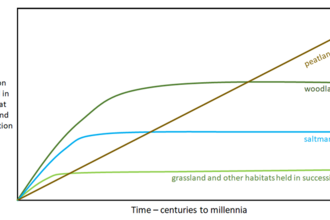 Figure 1.2 Conceptual model of habitat trajectory towards carbon stock equilibrium. Taken from Natural England report Carbon Storage and Sequestration by Habitat 2021 (NERR094)