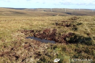 Row of wave dams along a grip. A digger can be see in the distance.