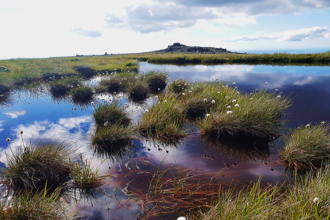 Carneddau bog pools