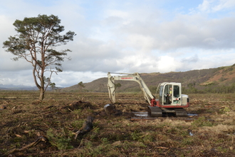 A digger creates cell bunding with a tree to the left