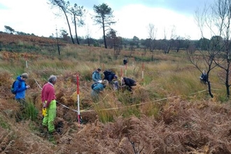 Group of people undertaking a vegetation survey at Canford Heath.