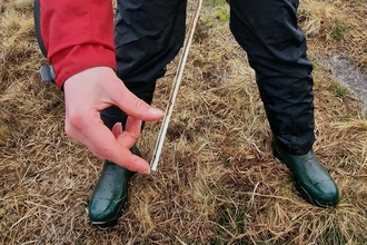 A person demonstrates taking a rust rod reading for Eyes on the Bog monitoring