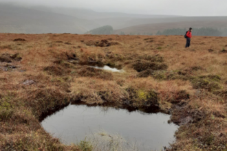 Peat dams along a moorland grip.
