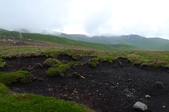 Eroded peat surrounded by vegetation