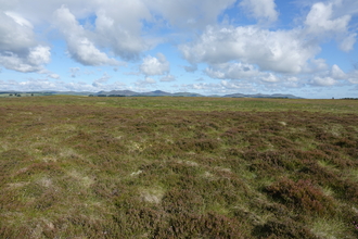 Peeswit Moss raised bog. 