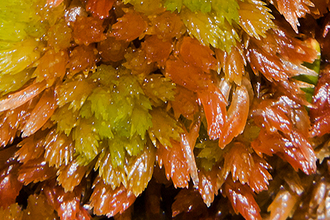 Test banner PC