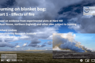 Still from video - Explaining the effects of fire on blanket bog.