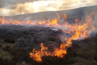 Heather burn on peatland