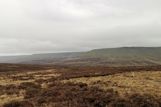 Featherbed Moss peatland