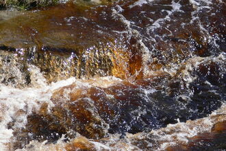 Dark brown water with a high dissolved organic matter content