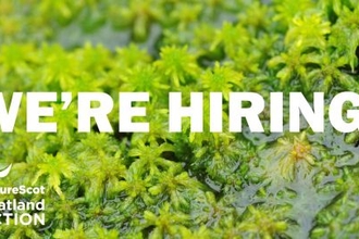 NatureScot Peatland ACTION we are hiring advert. Image of sphagnum moss with the words we are hiring
