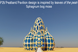 Illustration of the virtual peatland pavilion for CoP28. Design inspired by the tiny leaves of the mighty peat-forming Sphagnum bog moss