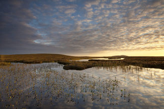 Bog pools at Forsinard Flows