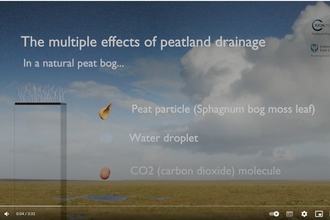 Still from video illustrating the multiple effects of peatland drainage including implications for carbon emissions, hydrology and peat structure.