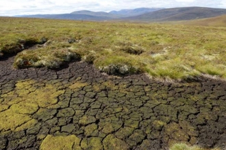 Large area of dried bare peat.