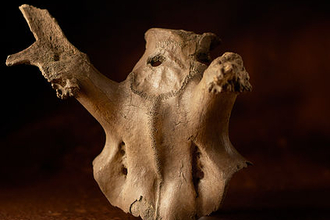 Star Carr include head-dresses made from red deer skulls