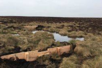 Timber dams blocking a long ditch.