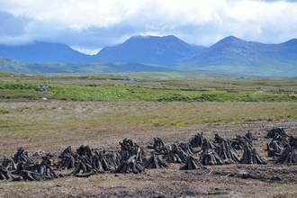degraded peatland with harvested peat piled up on the surface