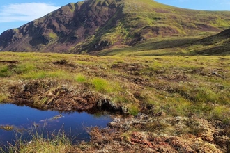 Bog pool at Ben Wyvis. A NatureScot Peatland ACTION restoration site.