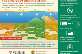 Peatland colours installation text: Help us track plant colours in peatlands. We can use smartphone photos to understand how pants green up over the summer, the timing of when they are at their maximum greenness and ow they start to turn brown in the autumn. Artwork shows a peatland landscape over the different seasons ranging from greens and browns.