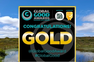 Global good awards logo