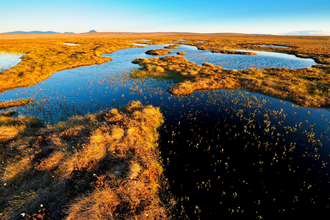Forsinard Flows blanket bog