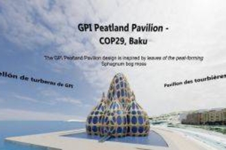Screenshot of the COP29 Virtual Peatland Pavilion