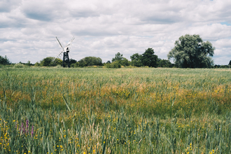 Fen meadow at How Hill