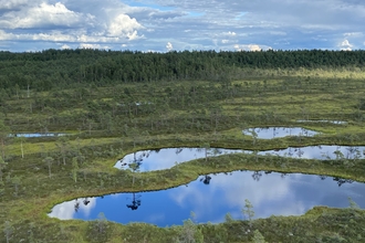 Mukri bog, Estonia