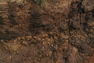 Cross-section of bare peat on moorland