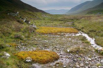 Percolation spring and surface seepage spring Glen Roy.  Credit Richard Lindsay.