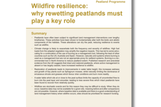 Front cover of Wildfire resilience publication