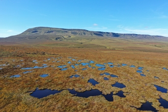 Bog pools on a peatland site.