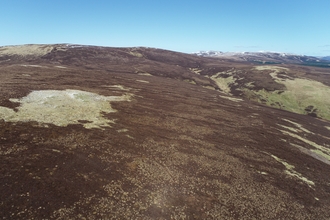 Large area of peatland 