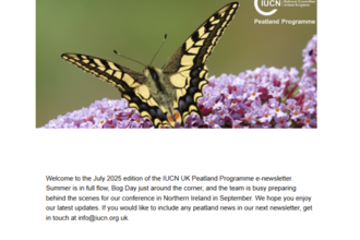 Front cover of e-newsletter with image of a Swallowtail butterfly and the IUCN UK Peatland Programme logo in the top right corner.